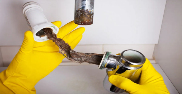 A plumber inspecting a hair clog in a drain prior to completing drain cleaning in Burnaby, BC.