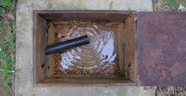 An open sewer drain for a home that needs sewer backup service in Edmonton because the drain is almost backed up to its inlet pipe.