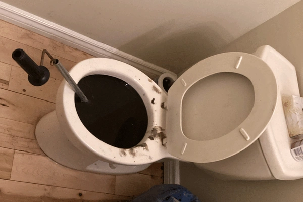 toilet backup.