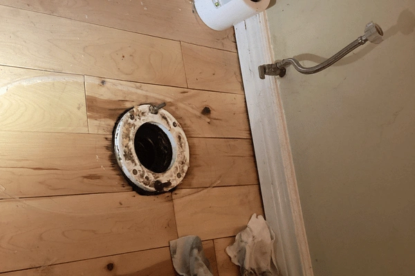 toilet removal and flange inspection.