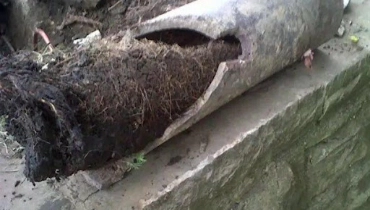 A cracked pipe full of tree roots, dirt, and other debris, which has been dug up for repairs and replacement.