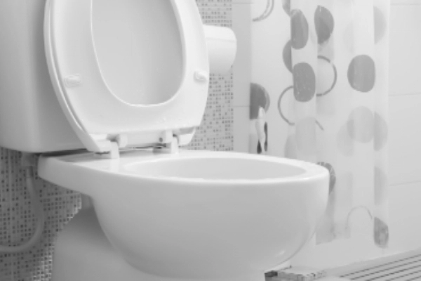 White toilet in residential home