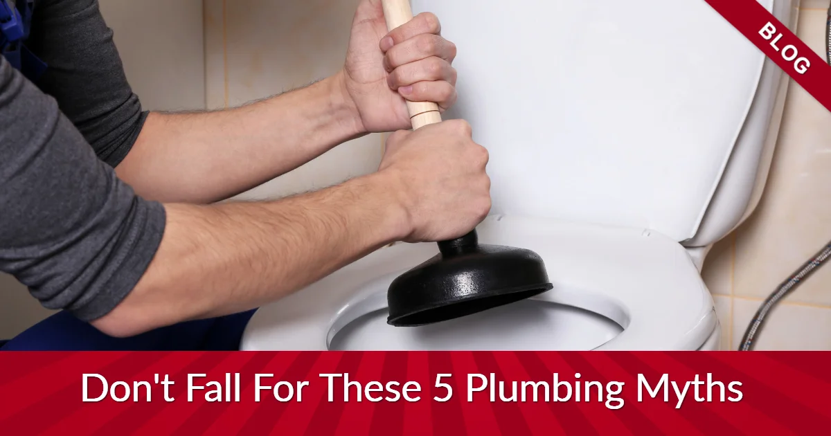 Hands holding plunger over toilet with banners reading "blog" and "don't fall for these 5 plumbing myths"