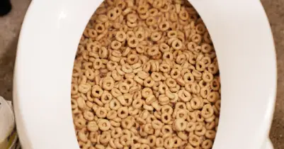 Cheerios in a toilet bowl