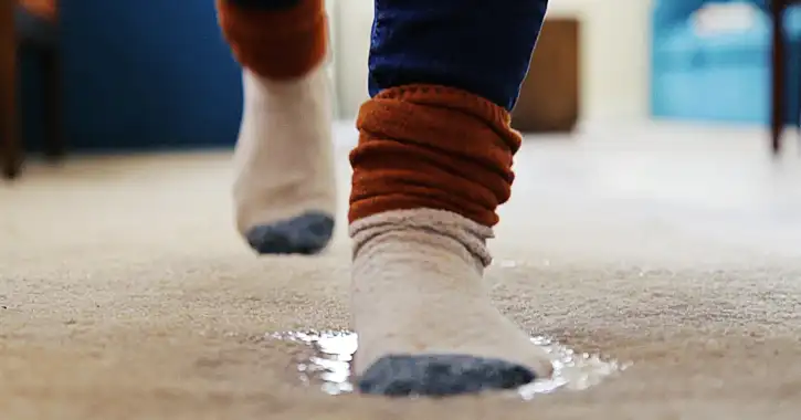 Person walking on drenched carpet