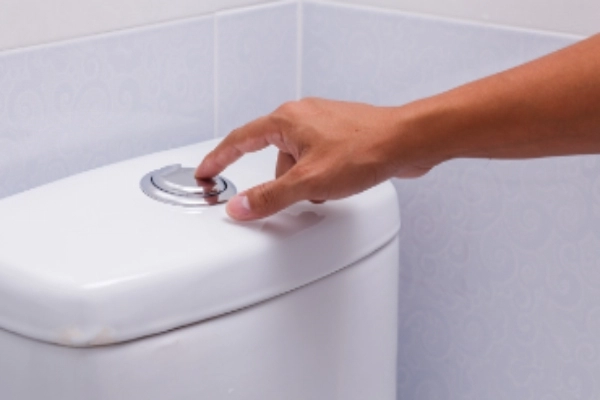 Person using a finger to flush a push button toilet.