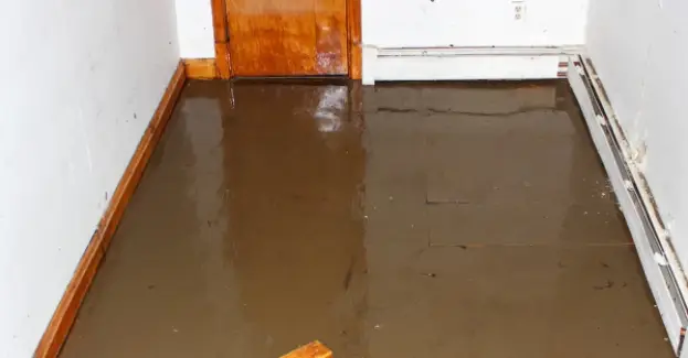 Basement flood that could have been prevented with a backwater valve.