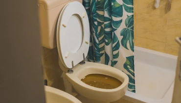 A toilet filled to the brim with dirty water from a sewer backup in Toronto, ON.