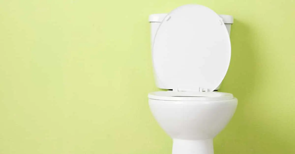 Leaking toilet in residential home in Ottawa