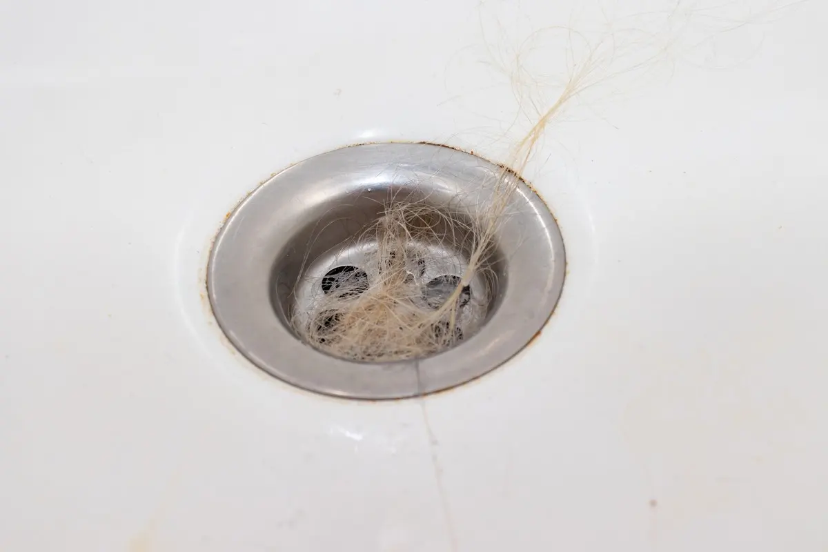 Hair contributing to Ottawa clogged shower drain.