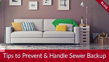 living room space with text overlay that says Tips to Prevent & Handle Sewer Backup
