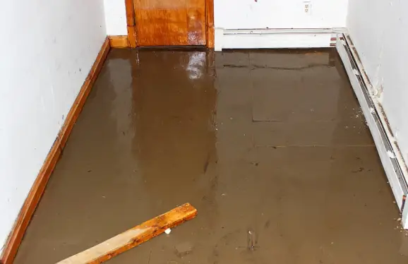A room with the floor covered by water coming from a sewer backup.
