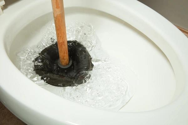 Image of a plunger.