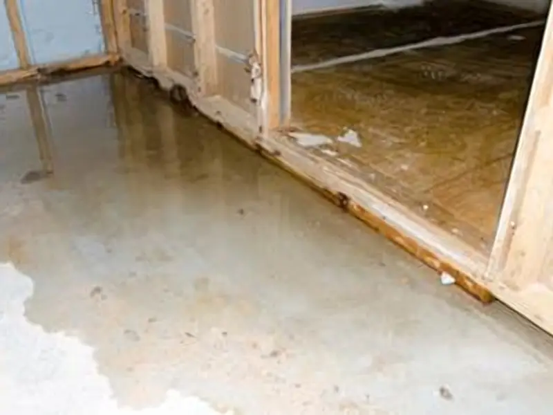 Standing water and visible damage on the floor and walls of an Ottawa basement following a sewer line backup.
