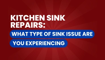 kitchen sink issues graphic.