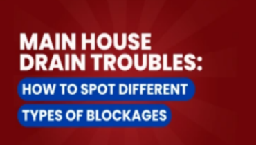 Main House Drain Troubles