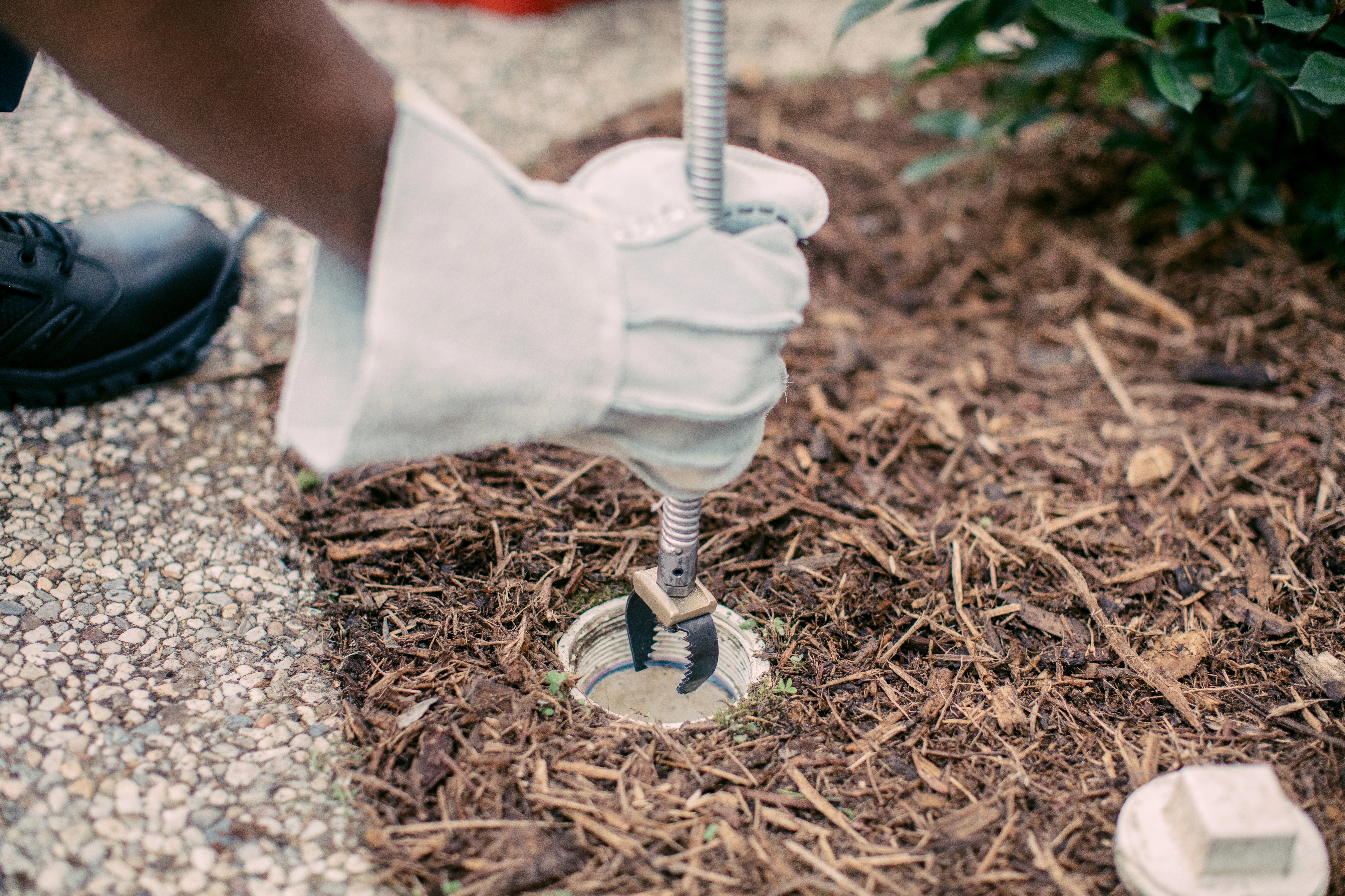 Professional sewer rodding equipment clearing a blockage through an outdoor cleanout.